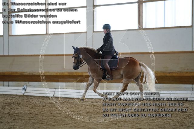 a_K3F01698.JPG